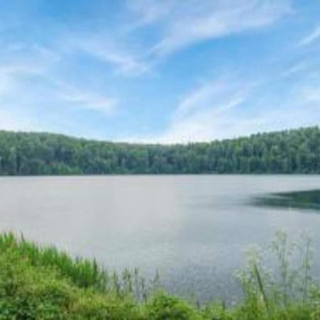 Cosy Holiday Home In Strotzb Sch With Sauna Strotzbusch Экстерьер фото