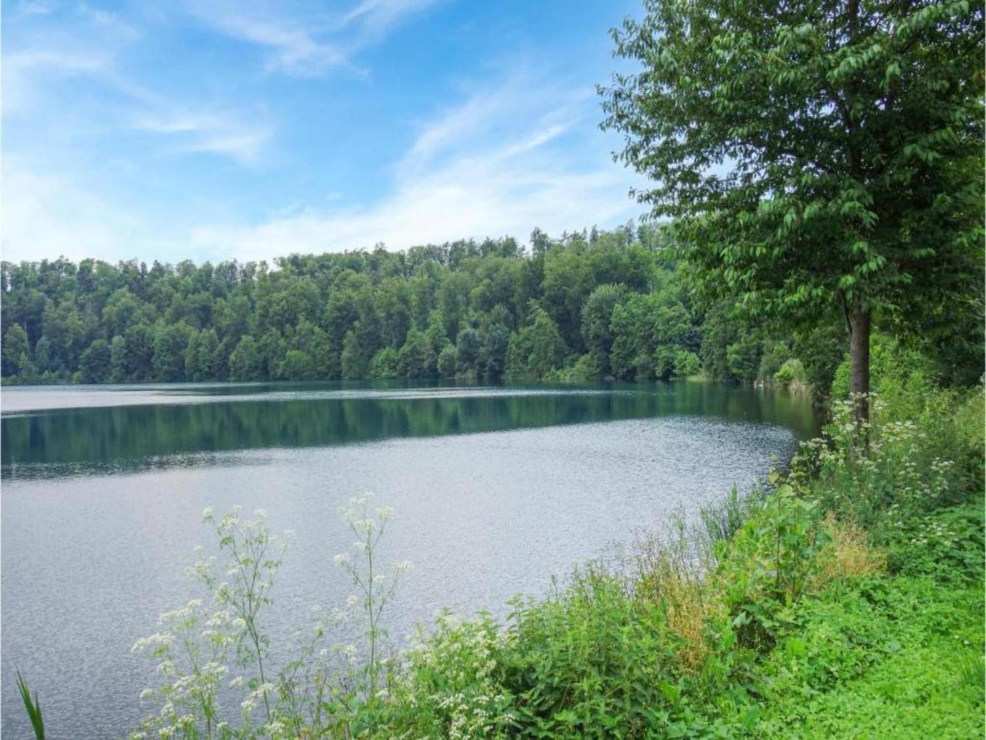 Cosy Holiday Home In Strotzb Sch With Sauna Strotzbusch Экстерьер фото